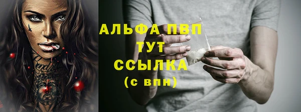 прущие крисы Новодвинск